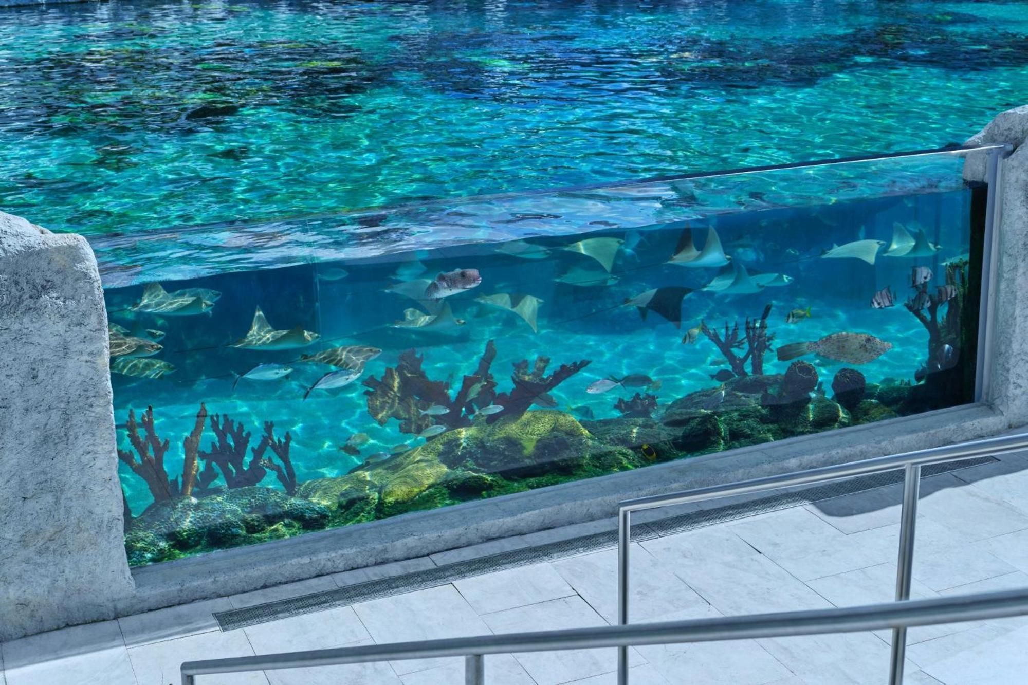 The St Regis Longboat Key Resort エクステリア 写真