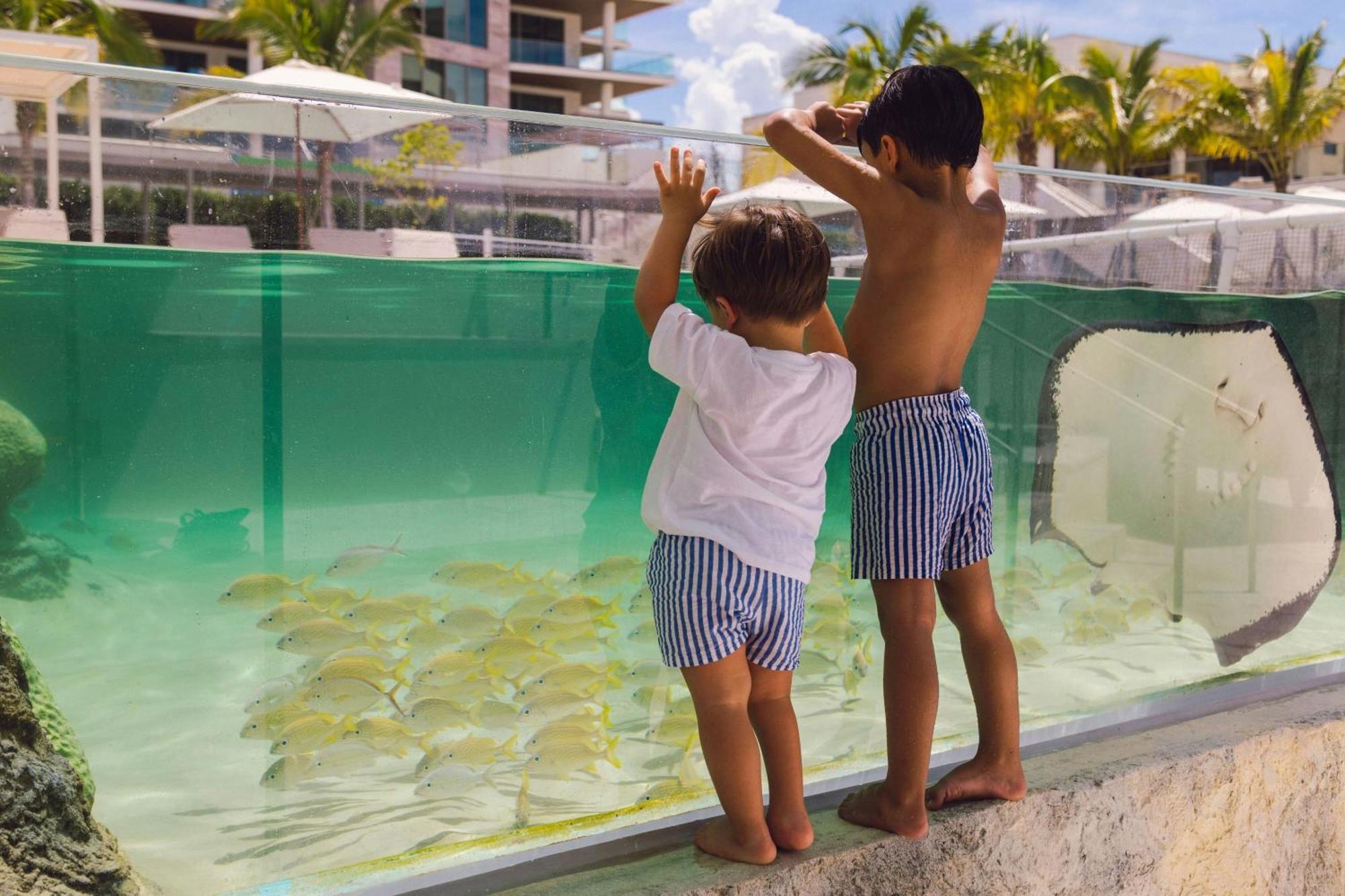 The St Regis Longboat Key Resort エクステリア 写真